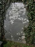 image of grave number 136499